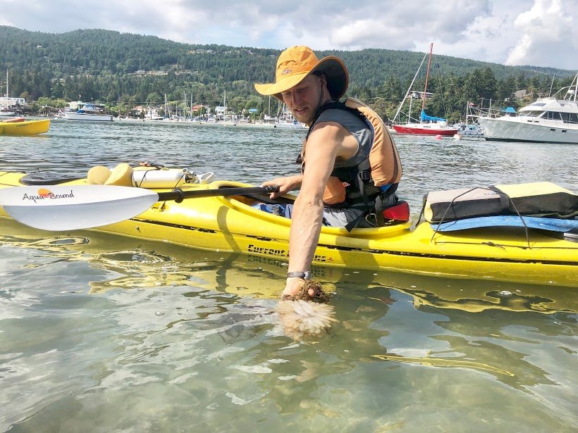 SSadventureco's tweet image. One of our amazing Kayak guides pointing out some sea life in our harbor! Join us for a kayak tour today and see what you can find!

#seakayaking #kayktours #SaltSpring #comeadventurewithus #SSAdventureCo