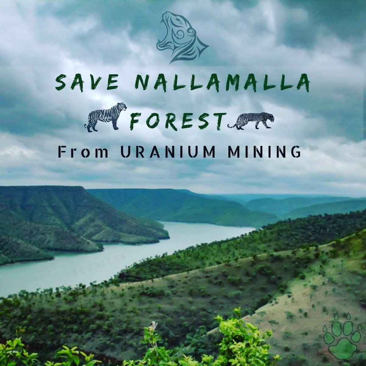 boyadevendra4's tweet photo. #SaveNallamallaForest
Save tree, nature .. Please respond
Our beloved tarak.. జనతా గ్యారేజ్
@tarak9999 https://t.co/b1kutKwMll