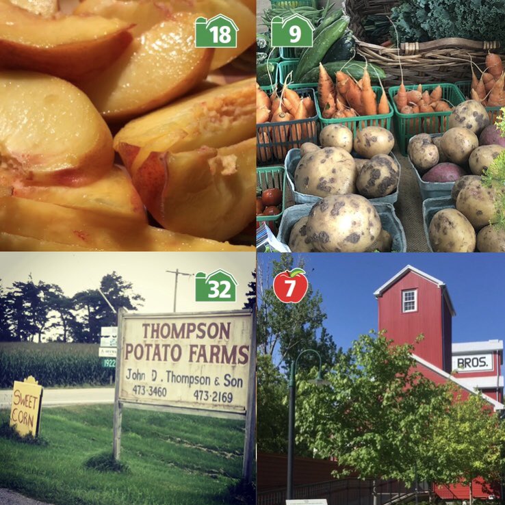 YorkFarmFresh's tweet photo. Peak ripeness across the region.  Get out and #knowyourfarmer

#passporttofresh https://t.co/7PaebgOakY