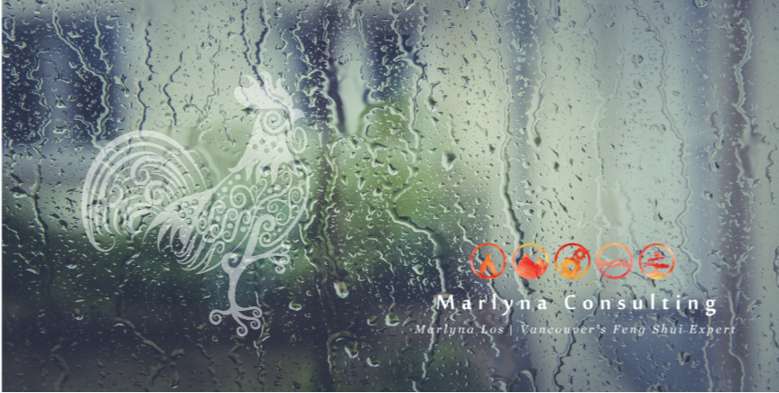 Time to Pay Attention - Month of the Water Rooster - mailchi.mp/c1aafde53e6d/l…
