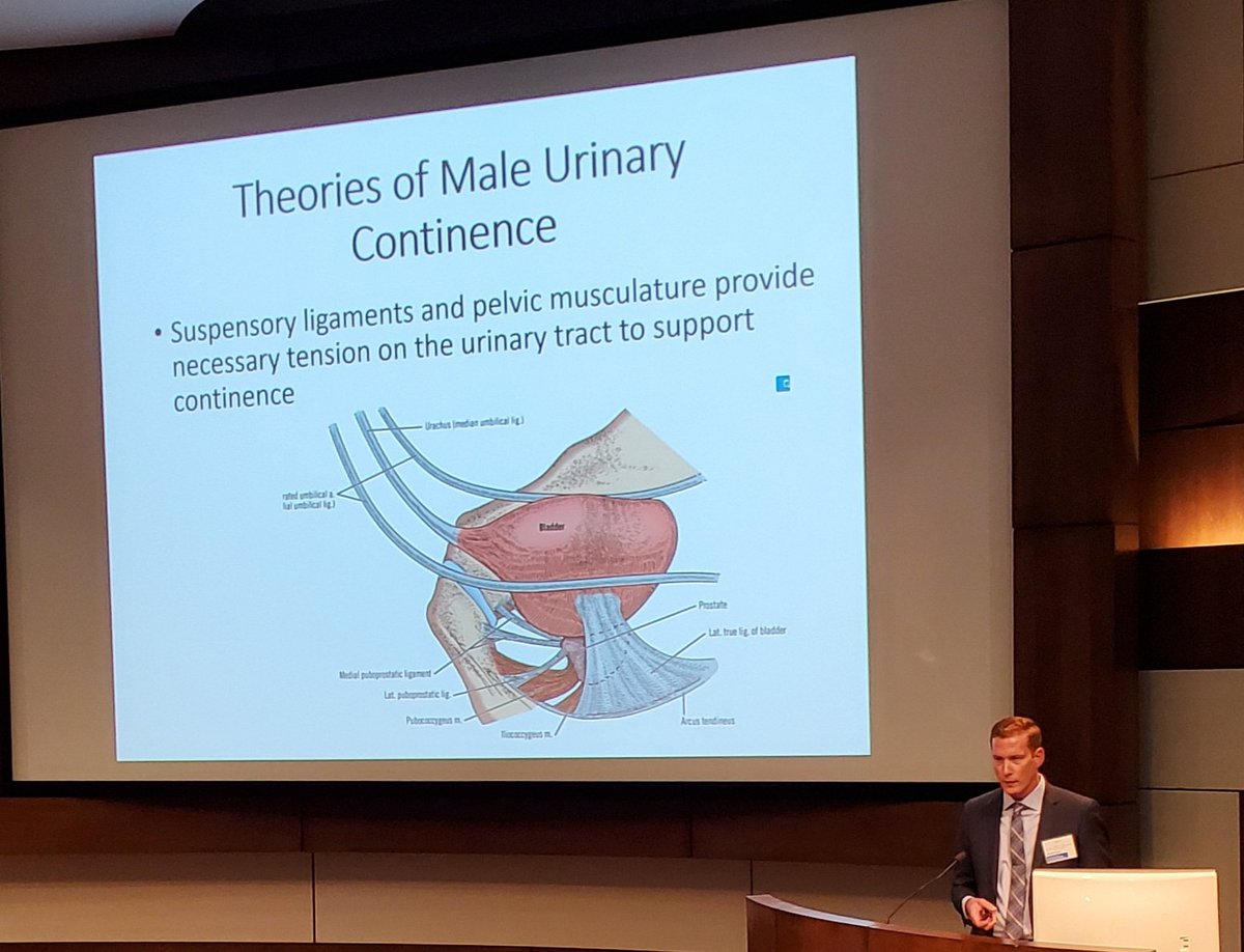 JHeinlenMD's tweet photo. Local prostate cancer expert and genius, @DParkerGU, discussing the importance of bladder sphincter (and other elements) function in protecting urinary continence after prostatectomy # https://t.co/9zD0OqWh5W