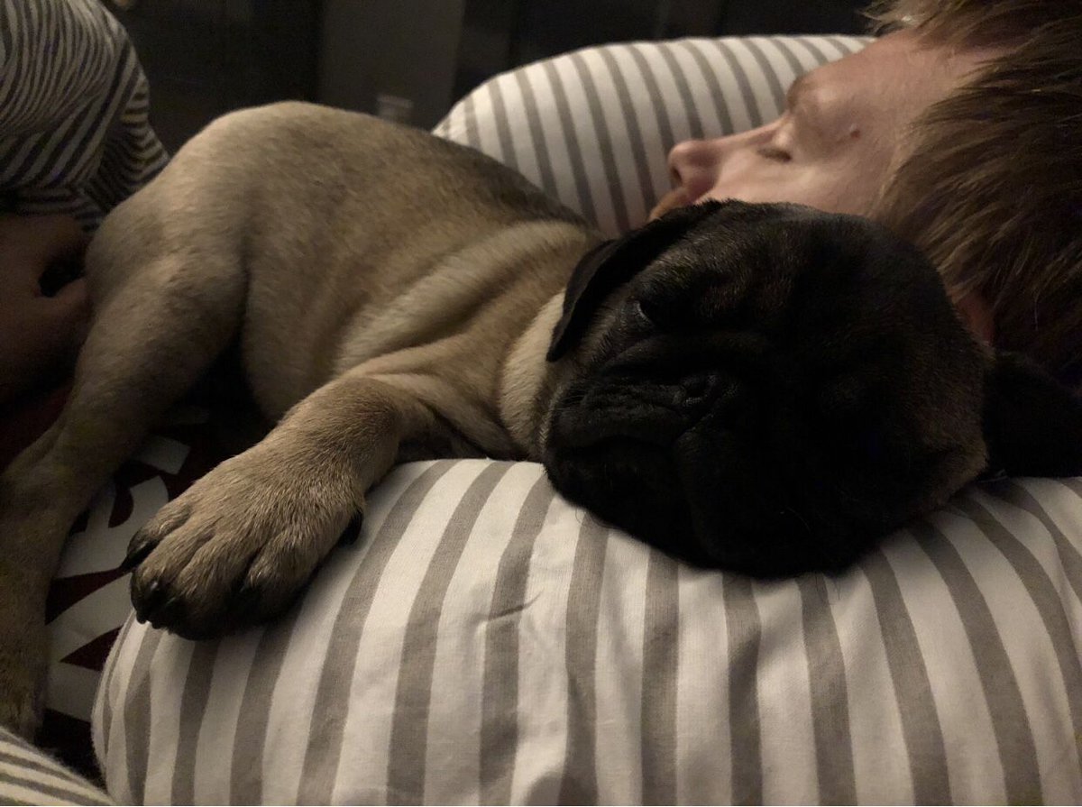 baytowncottages's tweet photo. Baytown Holiday Cottages &amp; Baytown Cleaning &amp; Management are both about two equals, no one of us has ever been the boss we both have our own jobs and it works perfectly. 

Since this munchkin came along, there's deffo a Boss in town! 

Sam hugging the Boss ❤️

#HugYourBossDay https://t.co/tfcTLlHPn6