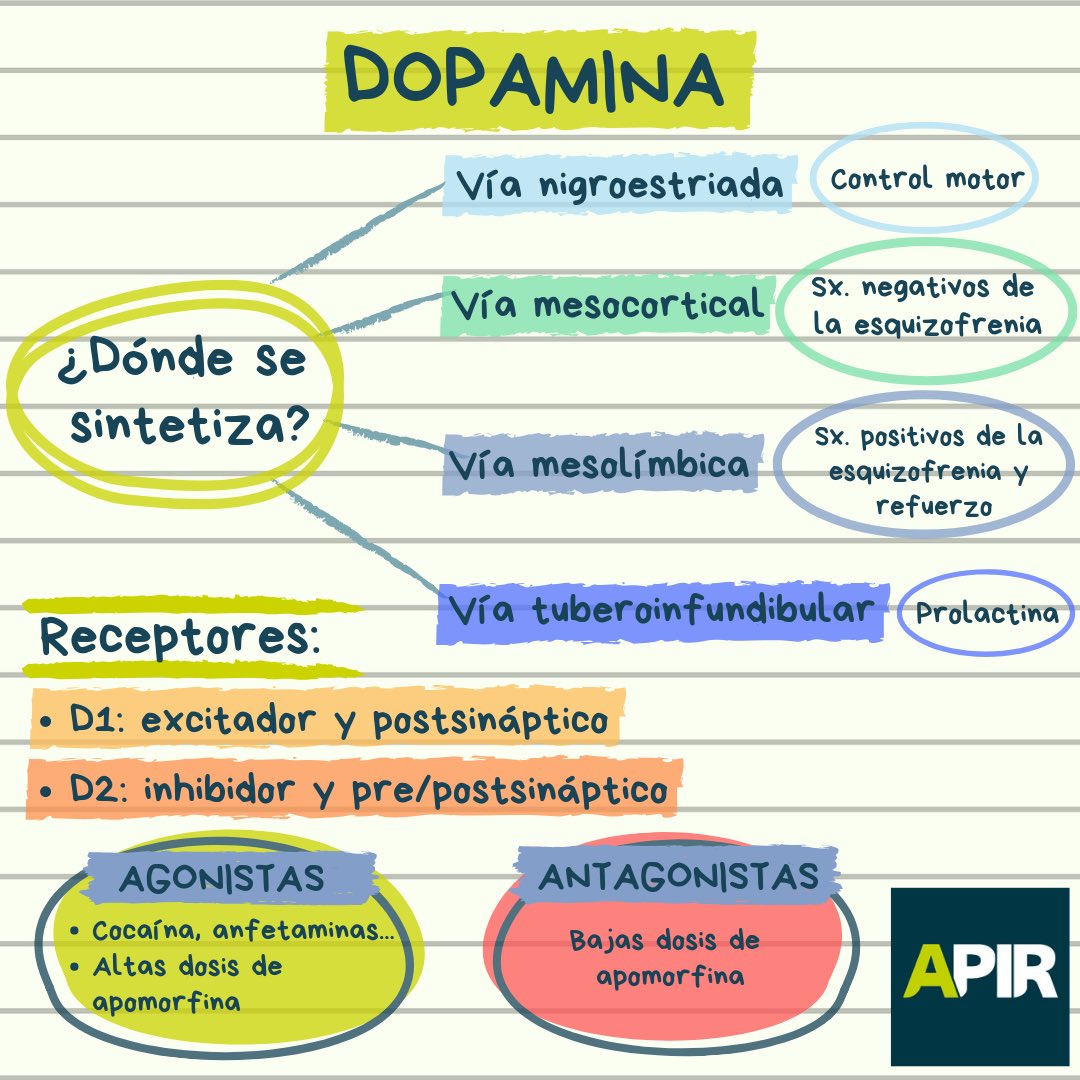 APIRpsicologia's tweet photo. 🤓¡Buenas tardes, APIRes!🤓 Para celebrar que ya estamos a viernes, os traemos una recopilación de algunas diapos express sobre... 
🧠NEUROTRANSMISORES🧠

¡Esperamos que os guste! https://t.co/aLF0LIPGxd