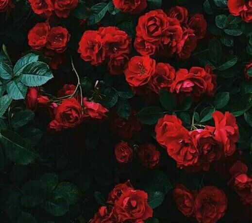 moon_light_44's tweet photo. @rero233 https://t.co/MKZC4yH5Zo