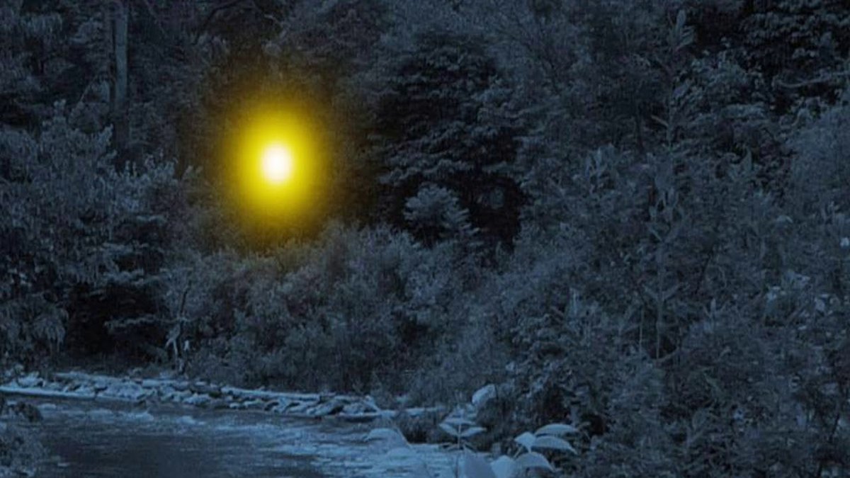 Álvaro Aparicio on X: "Mi primer acercamiento a la luz mala como concepto,  por supuesto, deriva de los cuentos de mi abuela y de las acampadas con la  familia. Destaco especialmente esto