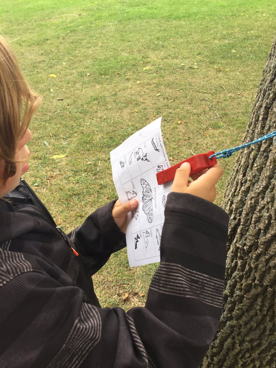 rmpslc's tweet photo. Having an wonderful outdoor adventure @SibbaldPointOEC with @rmpsyr grade 2 Ss. #takeitoutside #nature https://t.co/7GQT8WNkS7