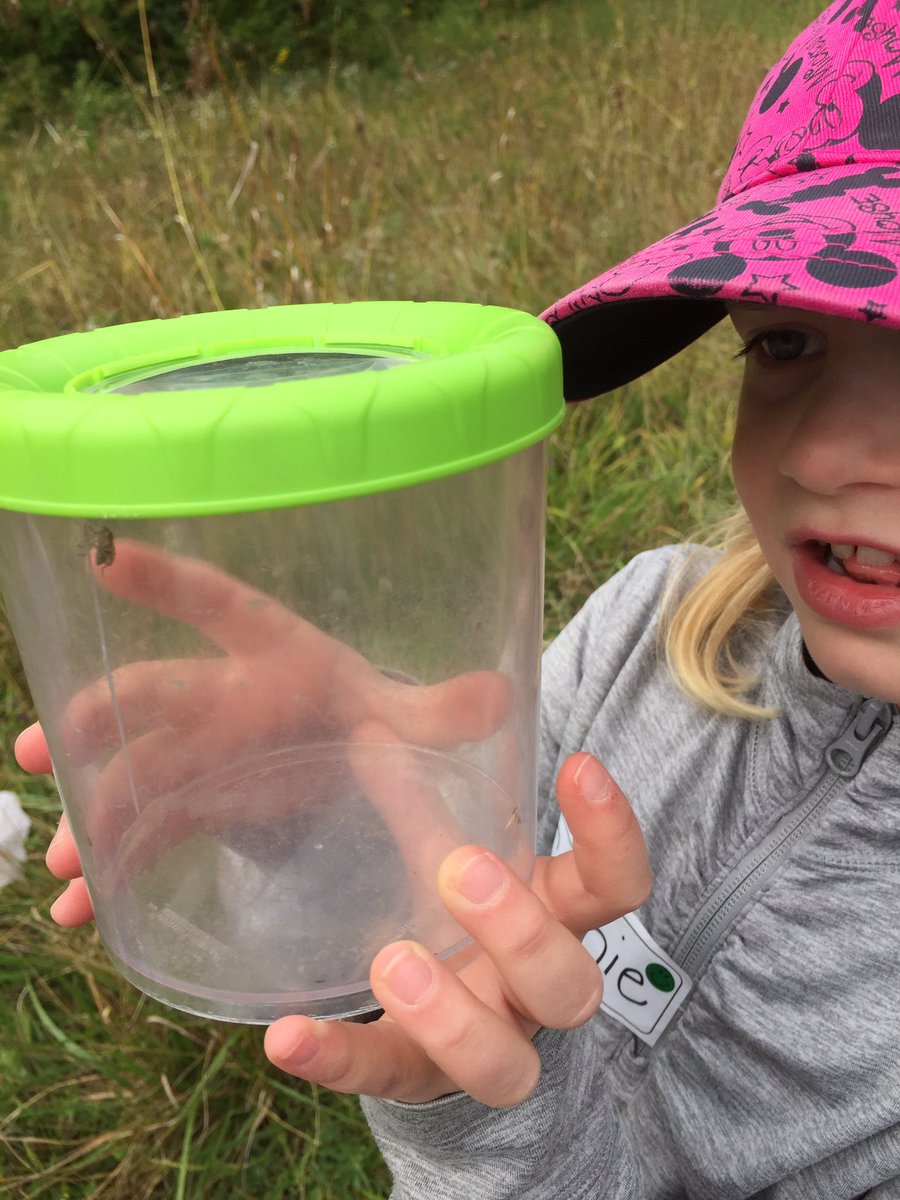 rmpslc's tweet photo. Having an wonderful outdoor adventure @SibbaldPointOEC with @rmpsyr grade 2 Ss. #takeitoutside #nature https://t.co/7GQT8WNkS7