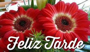 Feliz tarde
activos con 
#PuebloSoberanoYDePaz

@Patria_ve @JUANCAGARGOM @ConCiliaFlores @AgustinPatria @Yorbe2019 @astrogalactica @mjtrezza1 @CPatriota2 @moyawr @carmenmonaste16 @belkisvivas3 @Edvsm03 @maryuricj @LeidyD2306 @JennyLiz2019 #TuiterosActivos #ModoActivo #Venezuela