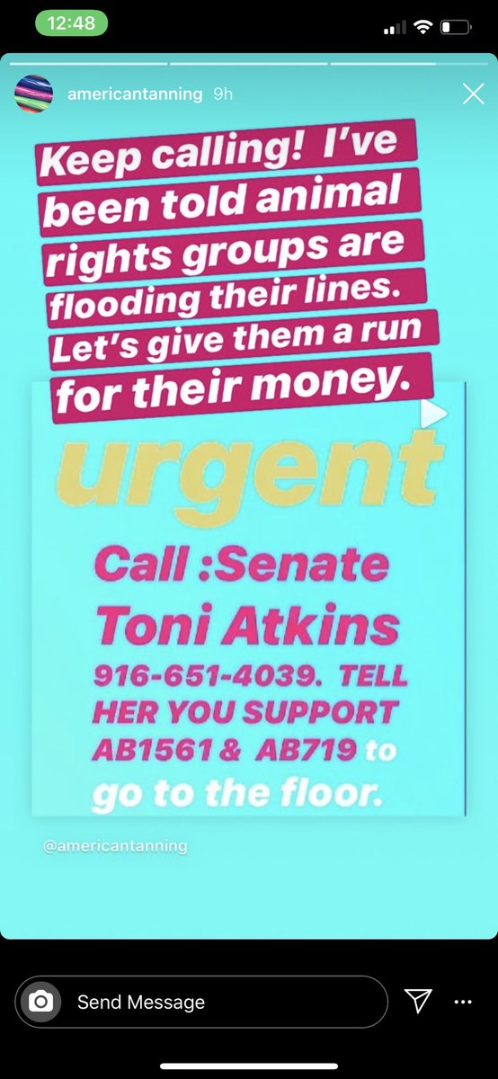 SoyboyReport's tweet image. These are the people calling @SenToniAtkins pretending to care about “conservation”, “dog health” and “medical research”. They take photos with a croc’s dead body that says “future handbag”. They are in Georgia. @HenrySternCA @BenAllenCA @Portantino. #ab1561 #stopab1561