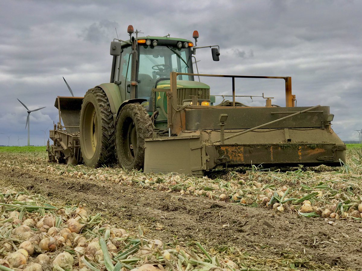Laatste loodjes in de #uien!🤩 #harvest19