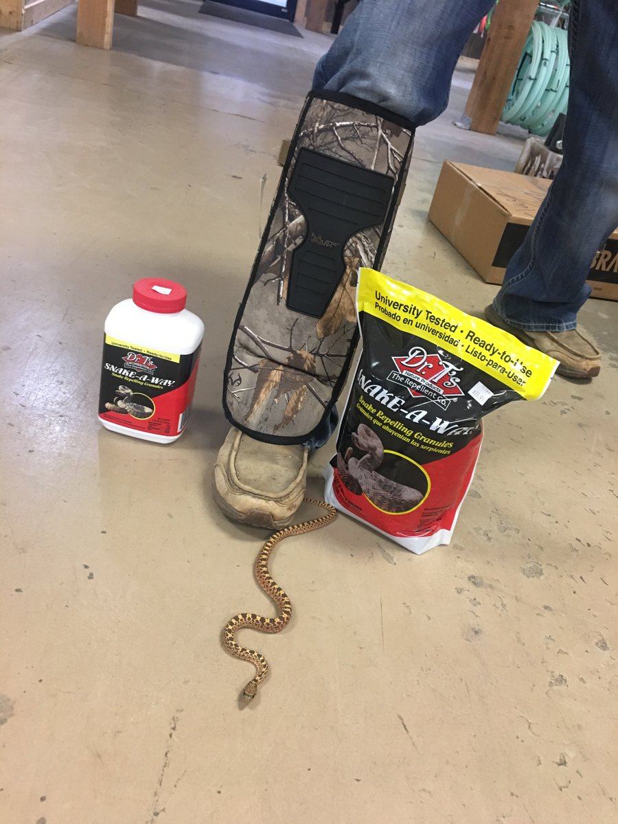 shortysmidland's tweet photo. Repel and defend against snakes this hunting season with Dr. T's Snake-A-Way and ForEverlast Real Tree Camo Snake Guard Shields. Sold conveniently here at Shorty's! #shortysrentalandfeed #midlandtx #odessatx #westtexas #snakes #snakeaway #foreverlast #snakeguardshields #hunting https://t.co/d0egFDyrah