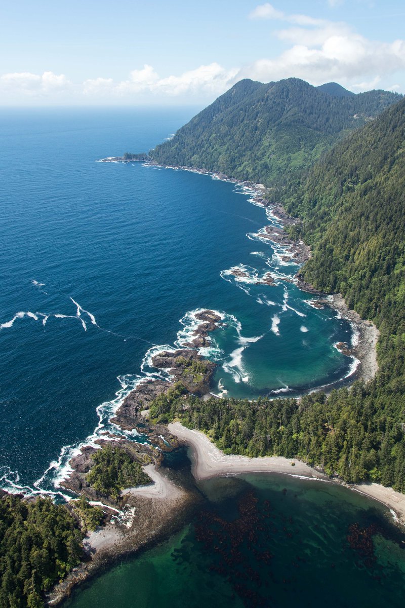 HAIDA WILD tweet media