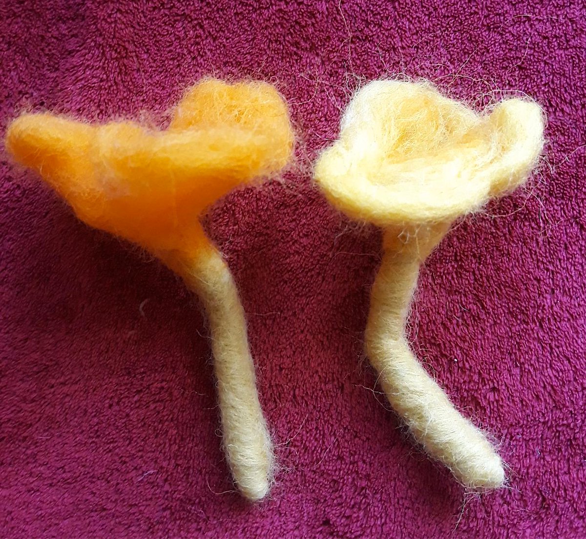 anobre1's tweet photo. Prenda de anos!!! 😍🤩😀🤗 O Outono está a chegar embora nao pareça. #cogumelo #cogumelos #mushroom #science #art #sciart #scicomm #iam4fungi #fungi #modelo3d #3dmodel #micologia #micology #outono #autumn #la #lamerino #wool #hadcraft #artesanato #handmade @cfe_mycolab https://t.co/O7LzDEbSNJ