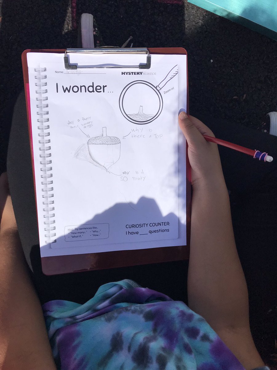 MBSTaylorTravel's tweet photo. Working on our “I Wonder”s and scientific drawings while enjoying this beautiful day! https://t.co/2yyLKJd2Sh