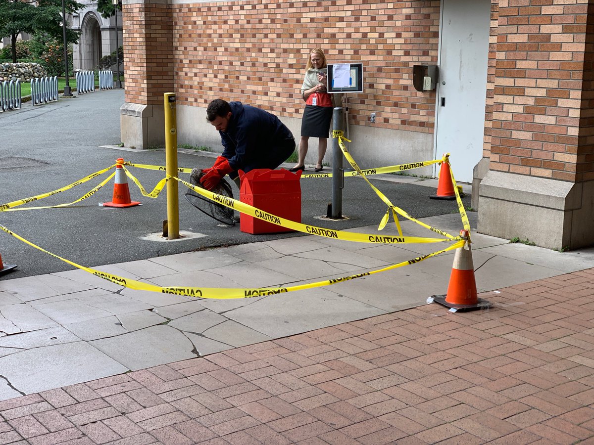Man holds owl using a net