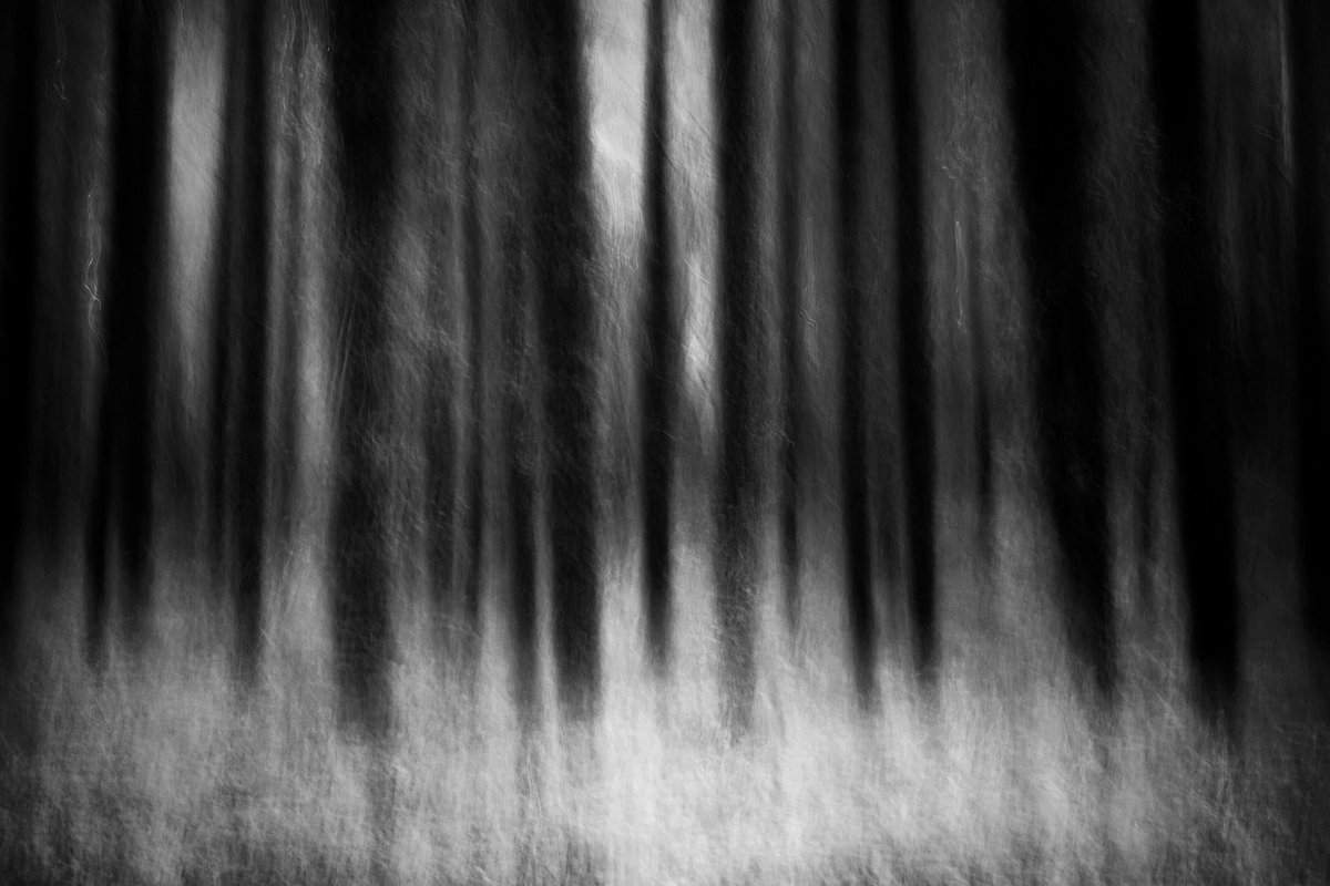 GoswellSean's tweet photo. Autumn reprise
#icm #bnwphotography #Exmoor #abstractexpressionism https://t.co/ixBGfJiIxT