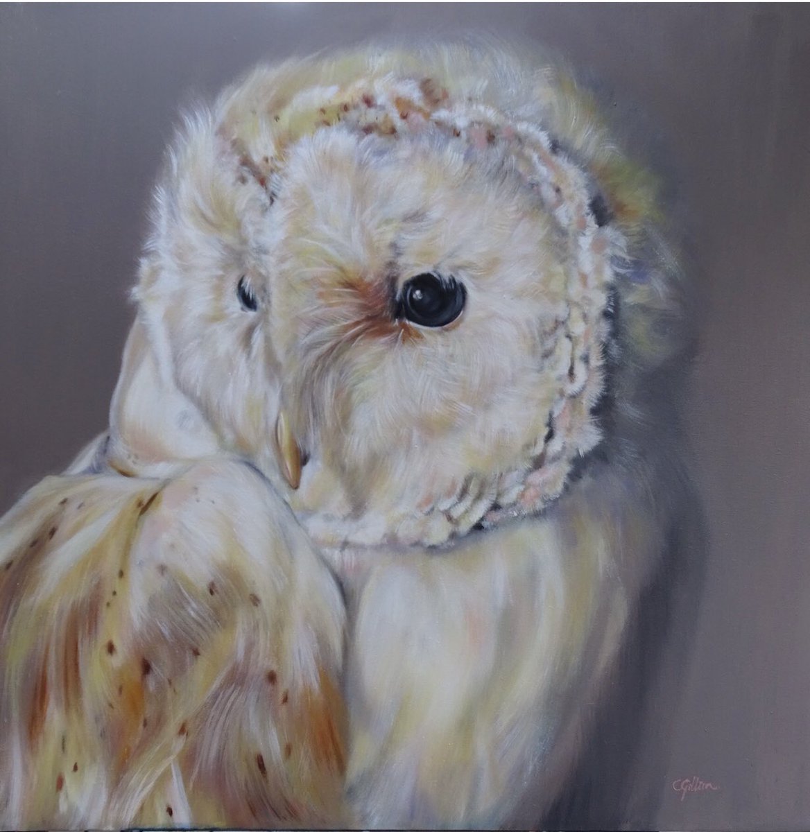 Another for #colour_collective #smoke 😁

#barnowl #wildlifeart #commissionart #artlicensing #whatahoot