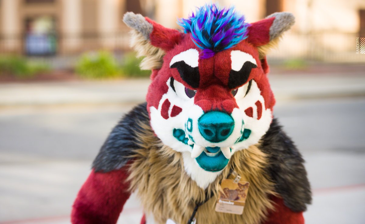 Thems awfully big words coming from an awfully small body...punk

#FursuitFriday 

Photocredit: <a href="/Randorn/">Randorn Canis</a>