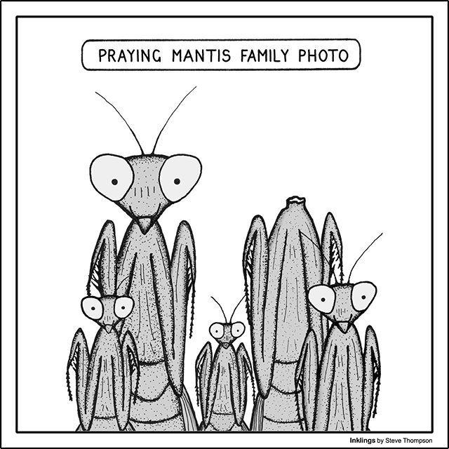 InklingsCartoon's tweet photo. For Inklings gifts visit https://t.co/wZ5k72CM1q
#InklingsCartoons
#cartoons
#CartoonDrawing
#ScienceCartoons
#AnimalCartoons https://t.co/VjYmgwhvwK https://t.co/NlQBxyS7B9