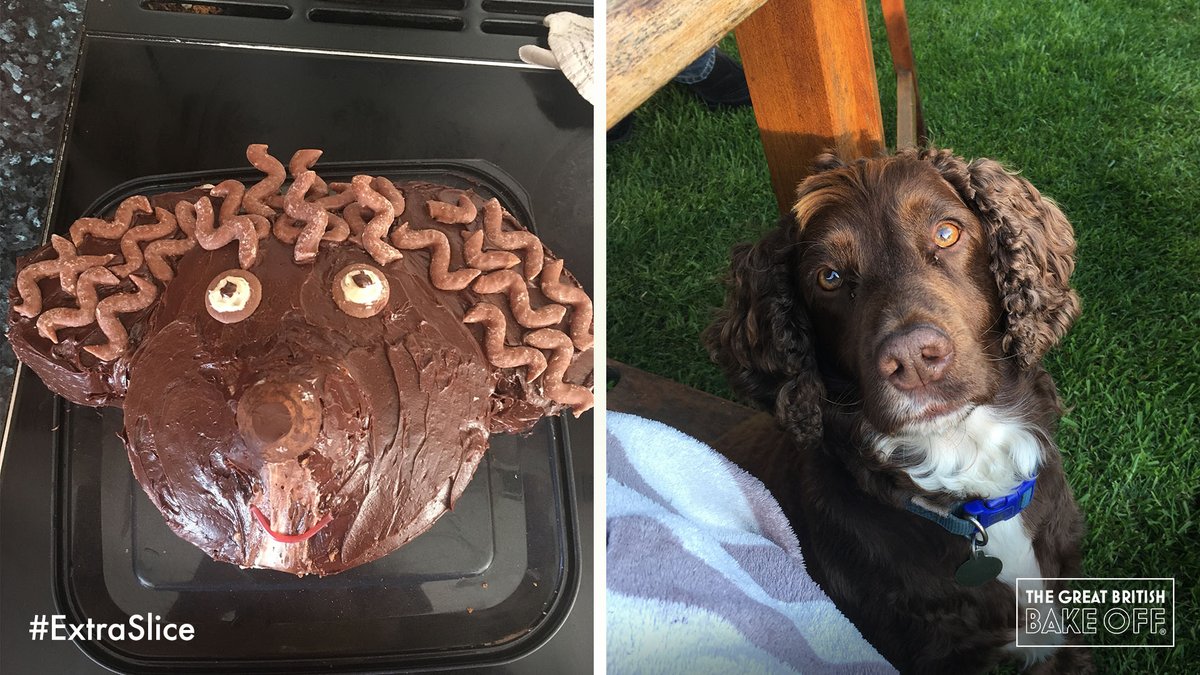 dog cake realistic