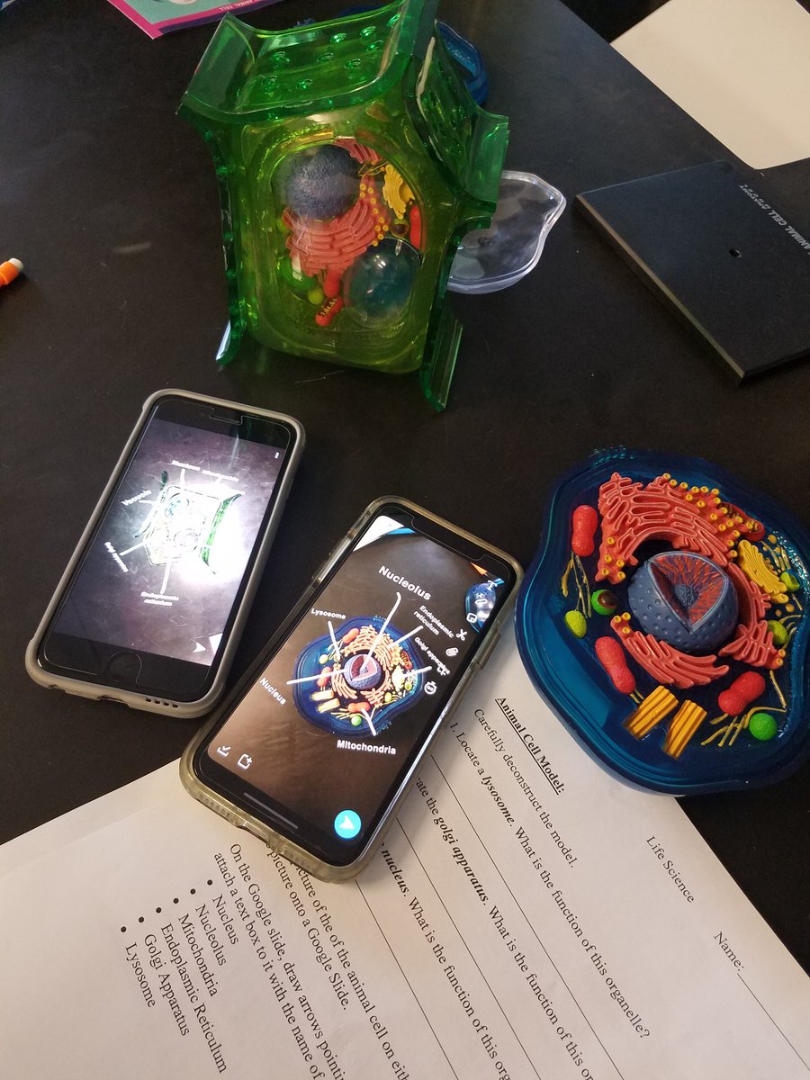 Cell phones can be a distraction...but they can be a great tool in the Classroom. My 8th Grade Life Science students used Snapchat to take pictures of cell models and label them. <a href="/MV_Knights/">Moshannon Valley SD</a> <a href="/JohnZesiger/">Dr. John W. Zesiger</a> #MVTakingPride