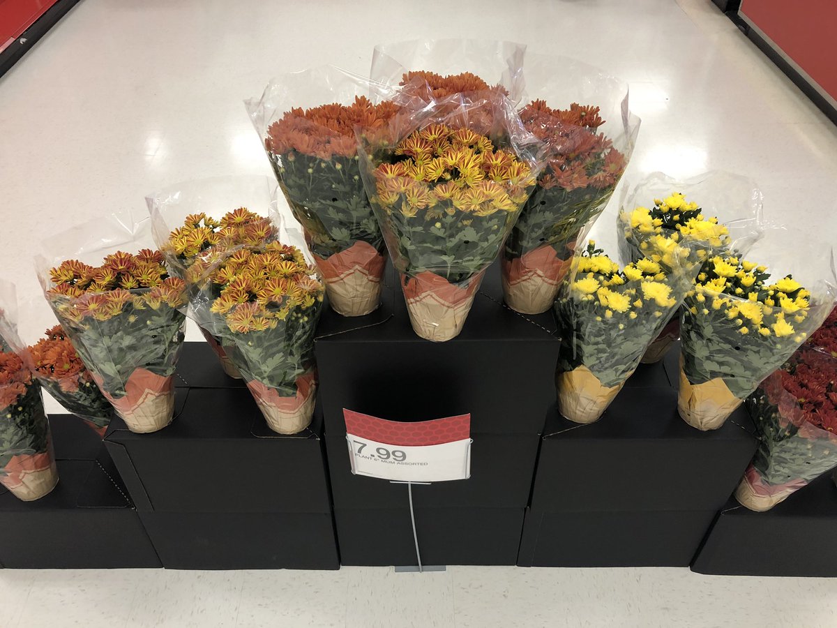 Kara Sutton tweet media