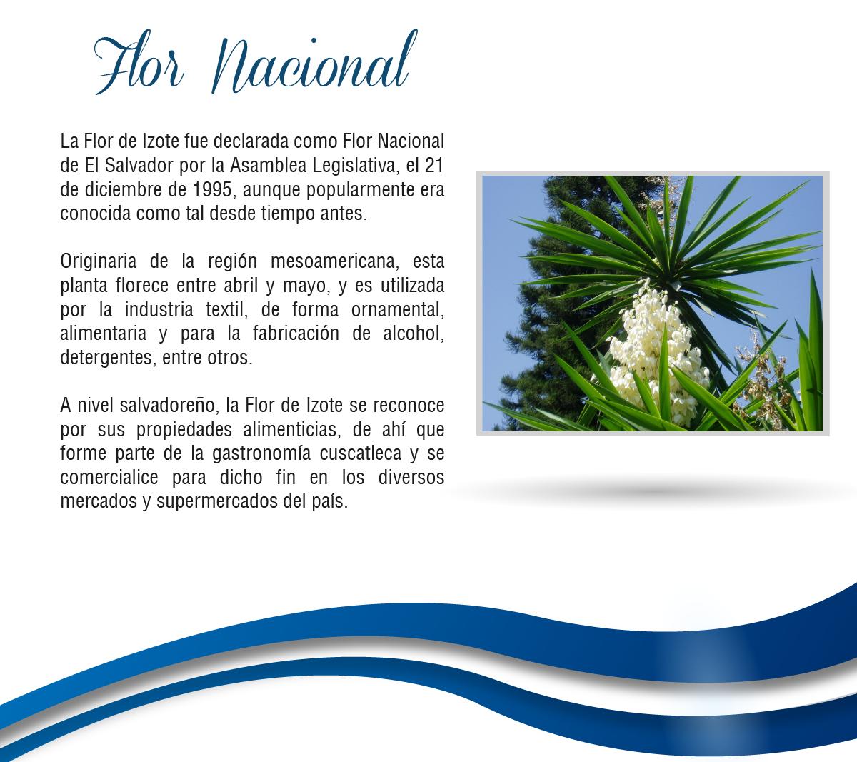 Asamblea Legislativa ???????? 在 Twitter: Asamblea Legislativa ???????? 在 Twitter: