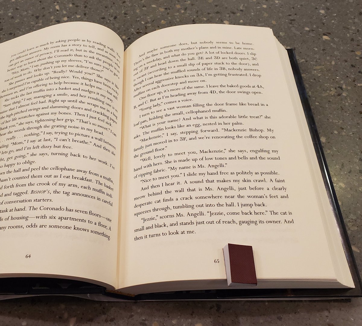 GeckyBoz's tweet photo. Don't have a bookmark? Try using an even tinier book instead... #Bookception 📚 https://t.co/LOxc3YcqPZ