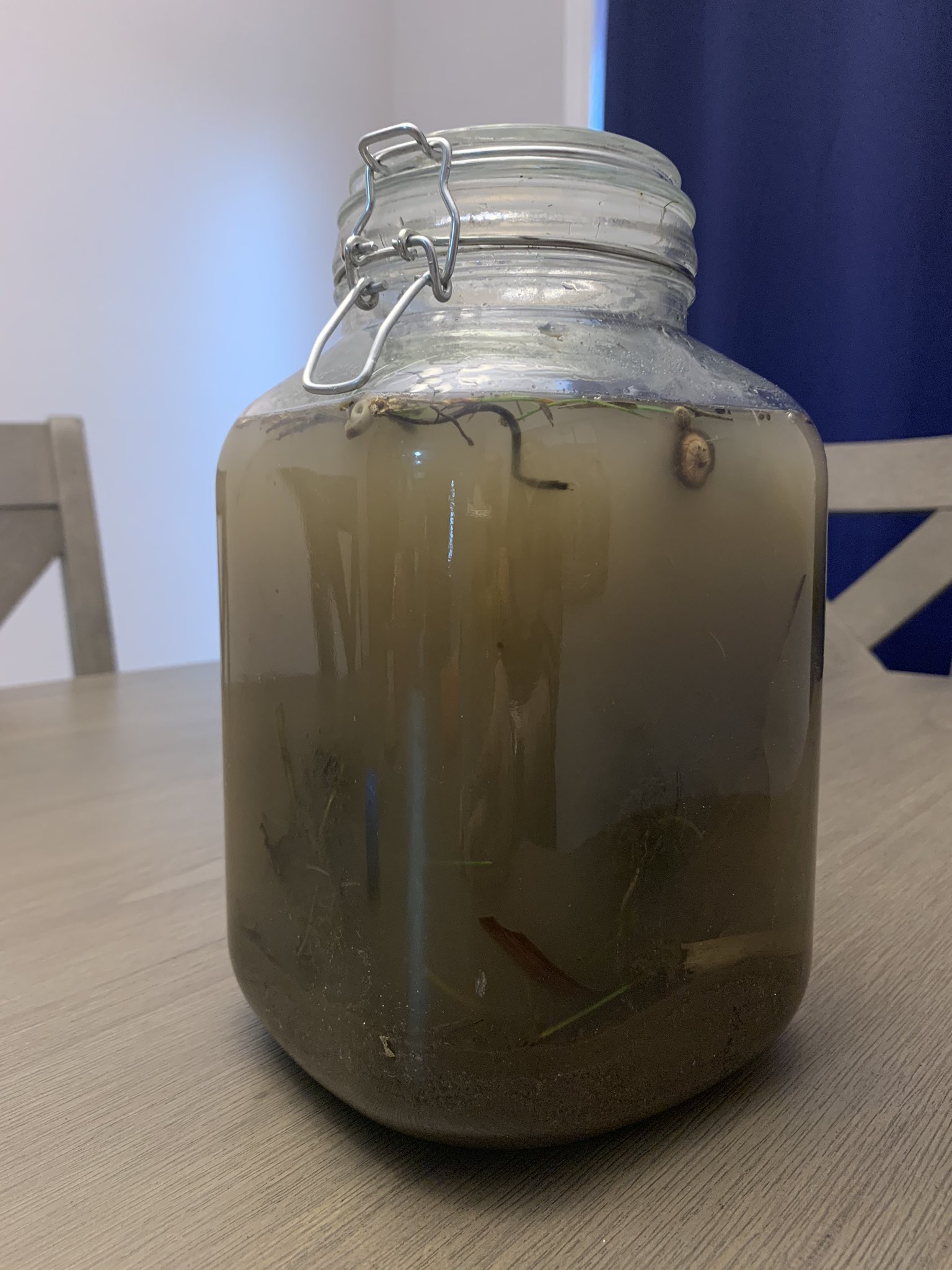 ᴋᴀssᴀɴᴅʀᴀ♛ on Twitter "Decided to do an experiment with baby girl and