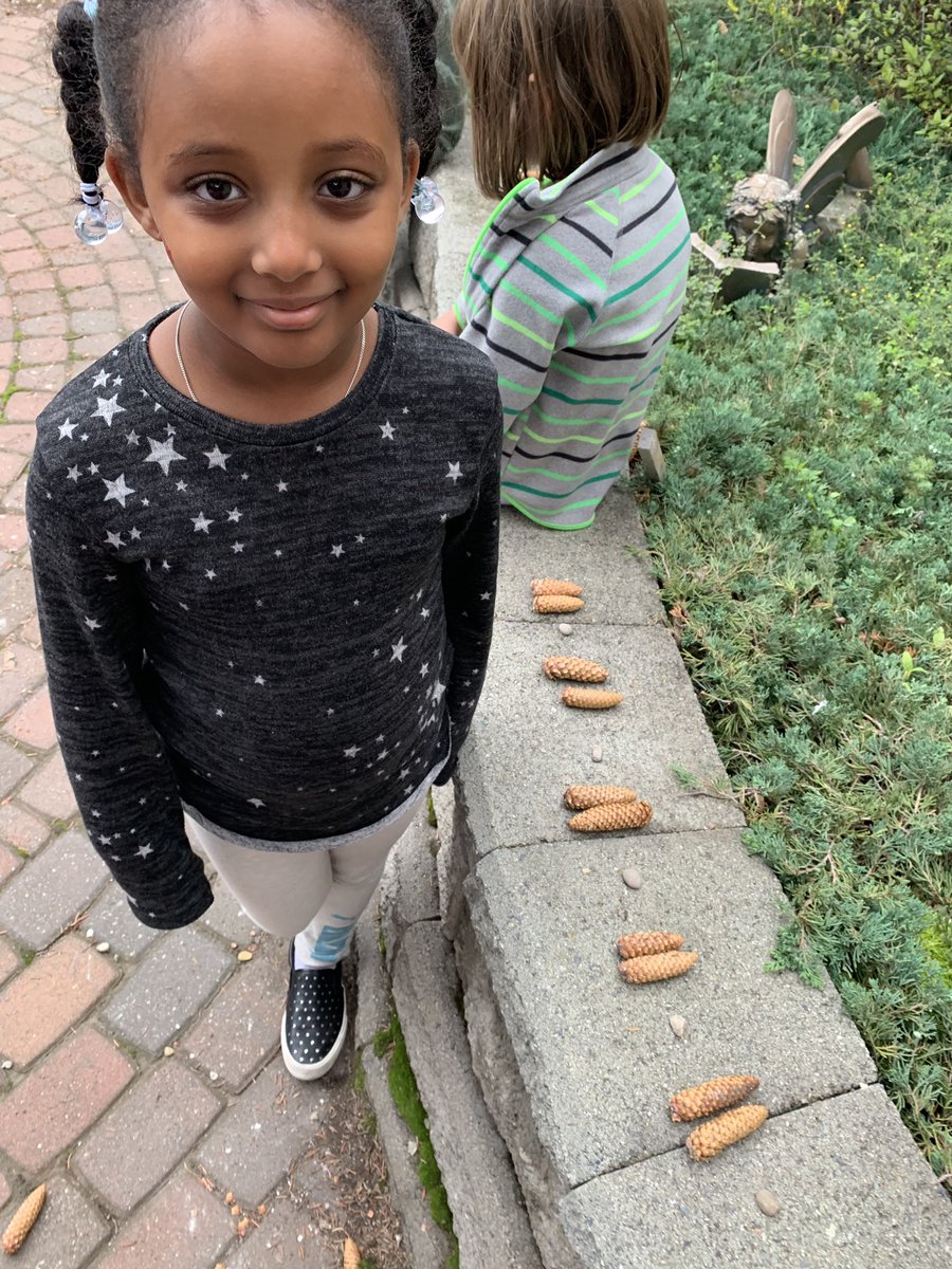 EppicMoments's tweet photo. Creating and translating patterns in our glorious courtyard! #CBELearns #patterns https://t.co/lWIaWUX2ip
