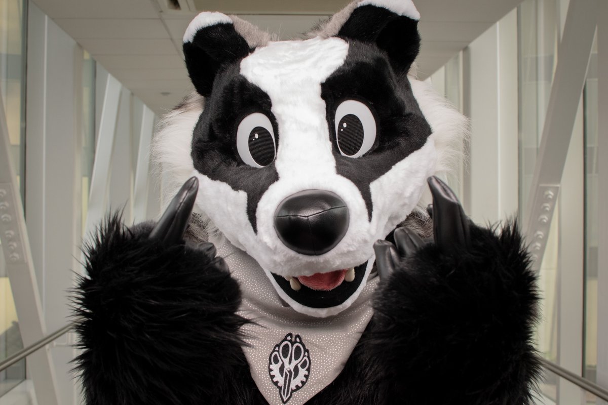 Freezebadger's tweet photo. #MiddleFingerFriday #FursuitFriday https://t.co/XMsqpnVdfM