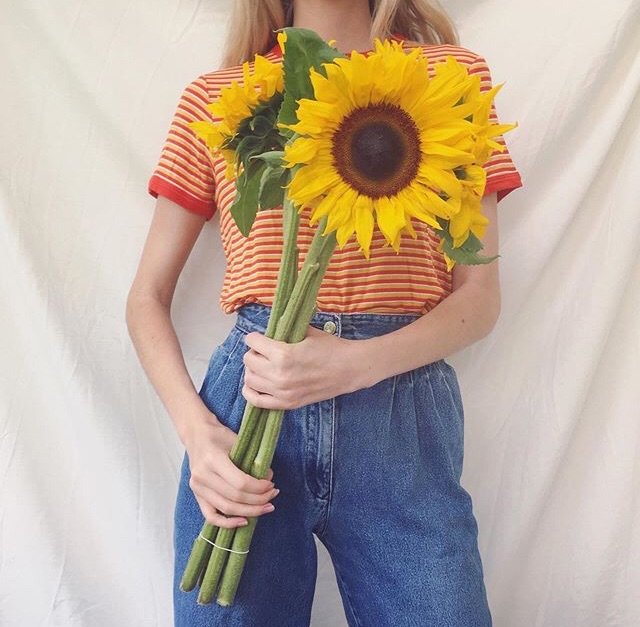 𝐿𝑎 𝑉𝑖𝑒 𝑒𝑛 𝑟𝑜𝑠𝑒 tweet media