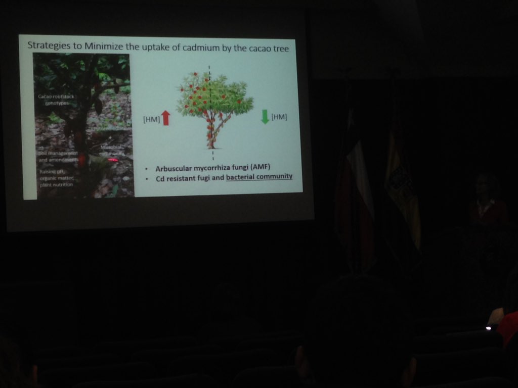 Vicky Flechas, PhD tweet media