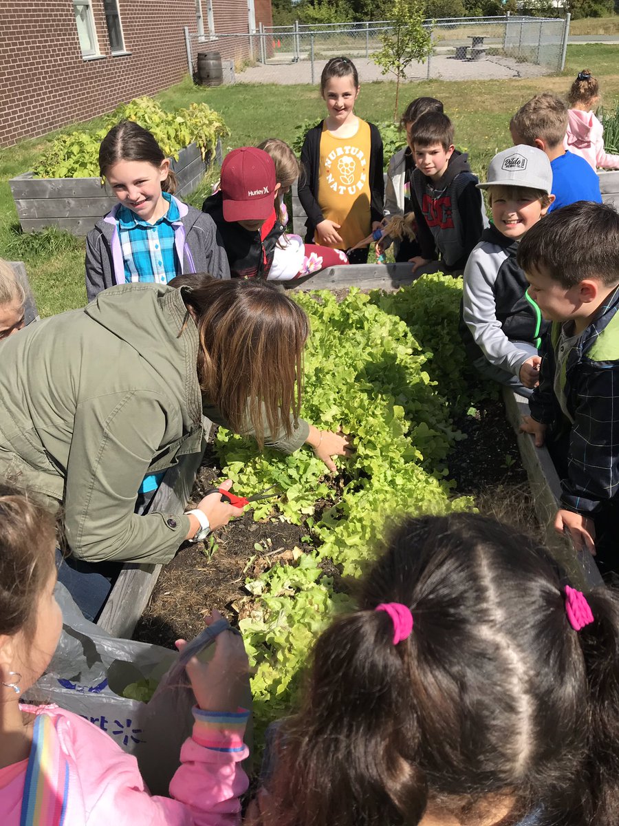 NoftallClass's tweet photo. Harvest time begins!!@kean_ms @NLESDCA @UGEABC https://t.co/v3K2htqKPs