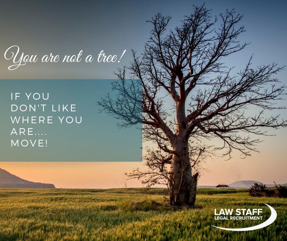 #FridayFeeling #legaljobs #Autumn