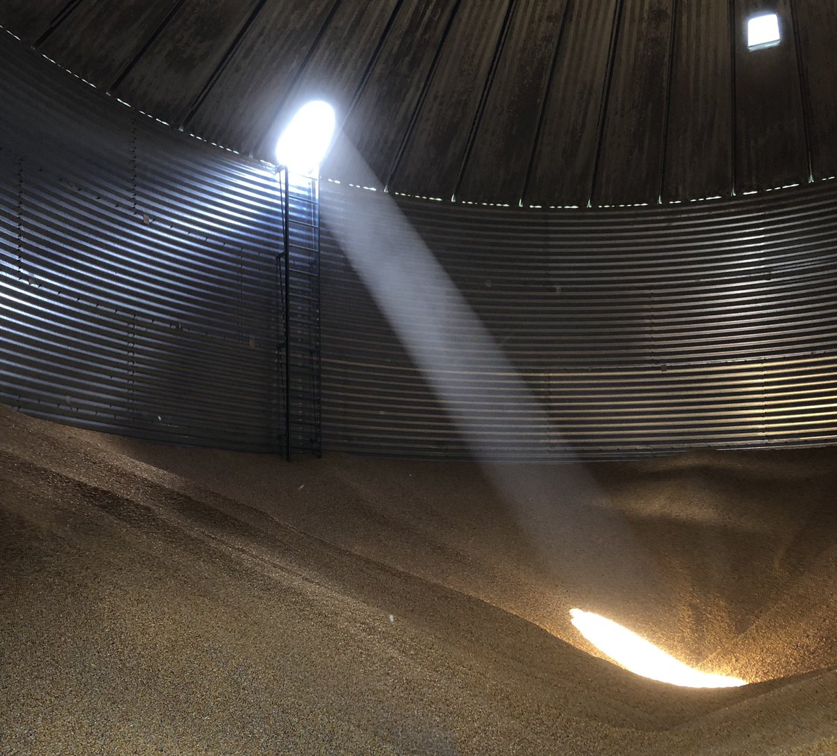 lilienthal_jake's tweet image. Everyone remember to pray to the Corn God before tomorrow’s game #CYHAWKWEEK