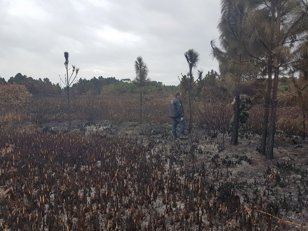 IGP_SC_OFICIAL's tweet photo. IGP está neste momento realizando uma avaliação inicial na área que foi queimada na Serra do Tabuleiro.
Os trabalhos estão sendo realizados com auxílio da Polícia Ambiental. https://t.co/GWFXo447KF