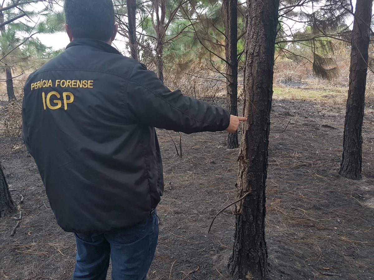 IGP_SC_OFICIAL's tweet photo. IGP está neste momento realizando uma avaliação inicial na área que foi queimada na Serra do Tabuleiro.
Os trabalhos estão sendo realizados com auxílio da Polícia Ambiental. https://t.co/GWFXo447KF