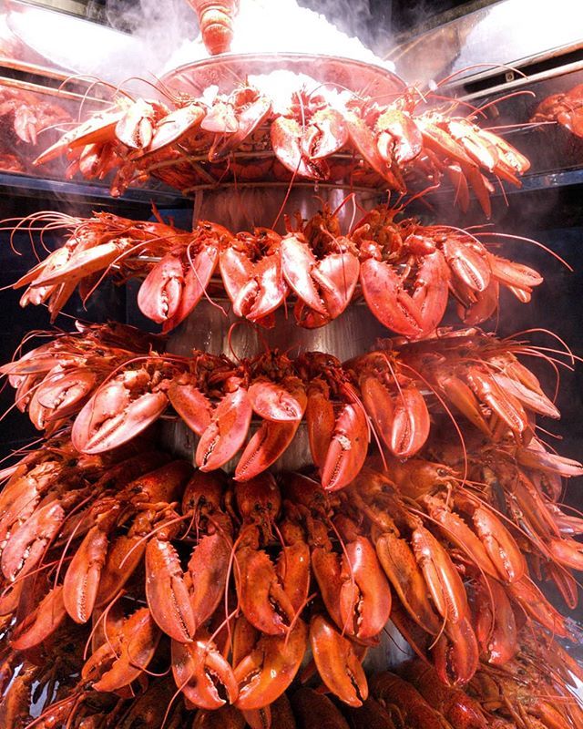 RevistaQTRAVEL's tweet photo. Puede ser el sueño de muchos gastrónomos, talvez una imagen irreal fruto de una pesadilla, pero la verdad es que es real. Es la fuente de bogavantes de los @lesgrandsbuffets en #Narbone, irresistibles, una delicia!!! Gracias a @renfe_sncf @trypticcomunic… https://t.co/v2uvTVqd5O https://t.co/pOdPh1sZvb