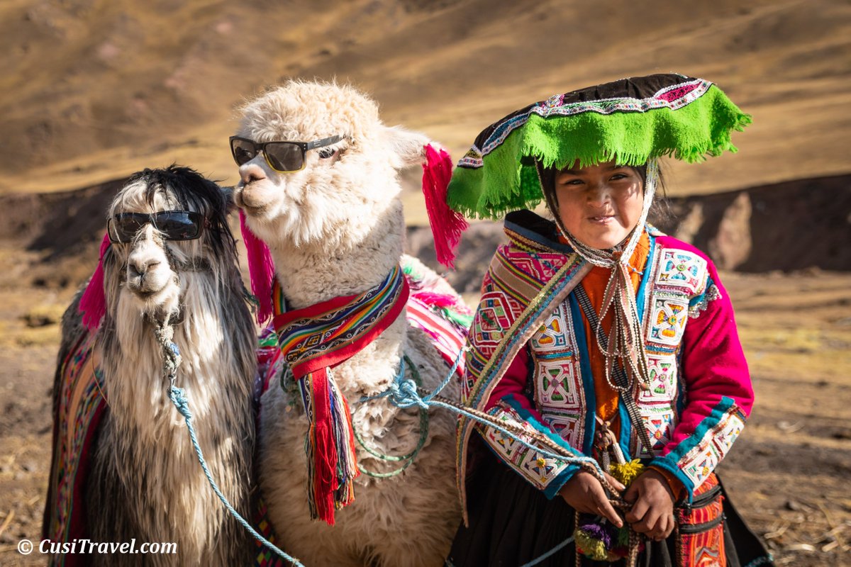 CusiTravel's tweet photo. #HappyFriday everyone! Hope you have a fun weekend planned. 🙂 #Alpaca #style #Peru https://t.co/KLGSs0eaxM