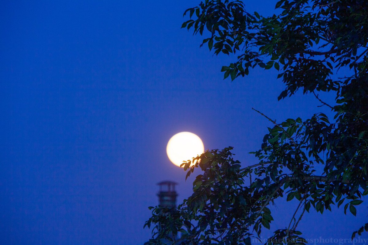 Friday 13th Full Moon rising 

99% illuminated

#Moonrise #fullmoon #fridaythe13th #fullmoonphotography #lunarcycle #sheffieldcity