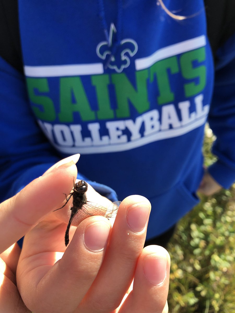 HSAatBJM's tweet photo. It was an amazing morning at the @Meewasin NE Swale. What a special place to preserve!@MrsARegier Science 10H students explored biodiversity, Indigenous Ways of Knowing & sampled populations. A big thank you to Kelly & Beth for joining us! #yxescience #sustainability https://t.co/jFyNJkyFfO