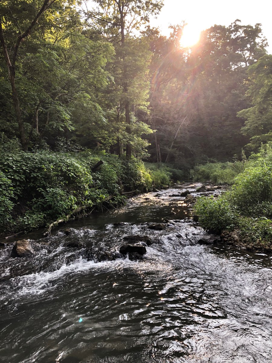 AbbyChasing's tweet photo. The Yellow River State Forest is beautiful in the fall, here is everything you need to know to plan your trip!
https://t.co/GhIabTuccT
#camping #Iowa #fall https://t.co/BySA6rw801