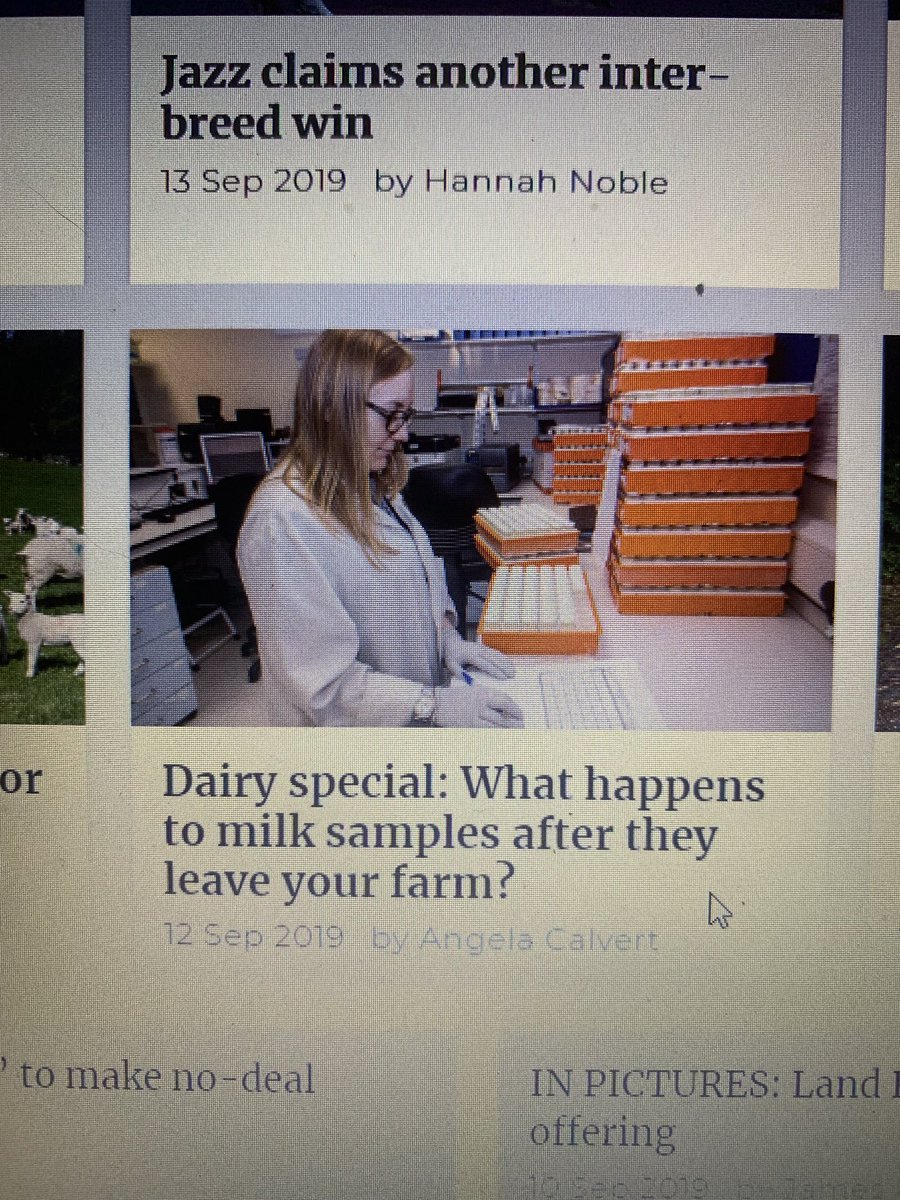 HefinR's tweet image. Having seen some of the recording results I’ve seen in the last few weeks you’d have to wonder!😂🐄🙈 @FarmersGuardian #teamdairy #lovecows #randomnumbergenerator