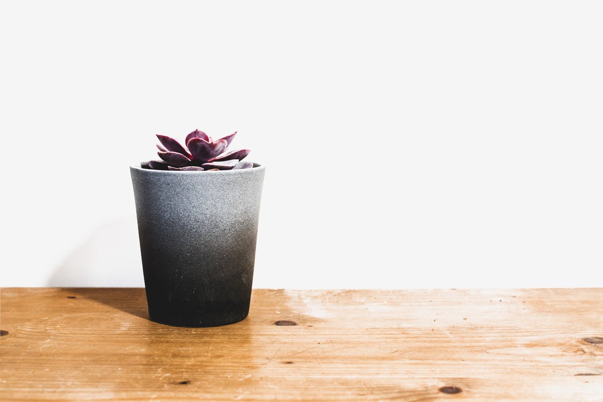bethamberagency's tweet photo. Check out this article about simple ways to get started with #minimalism. Small Changes = Big Results. I bet you wouldn't guess the last example. 
https://t.co/8AFYvgf2av https://t.co/PIim0mMtZS
