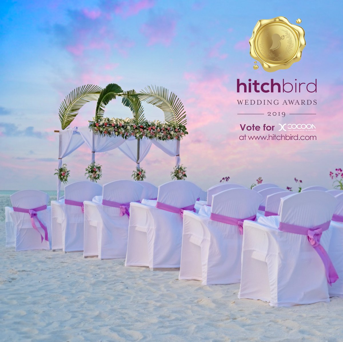 Cocoon Maldives V Twitter Cocoonmaldives Has Made It As A Finalist In The Hitchbird Wedding Awards 2019 For Best Destination Wedding Venue In Maldives Vote For Us Now Https T Co Zusrdyykqv Thanks
