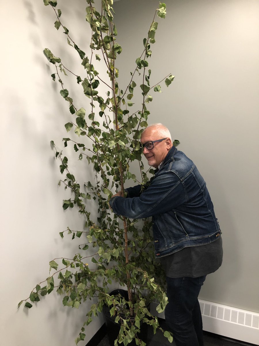 JonDRobb's tweet image. I think a fellow colleague may have played a practical joke on @LorneRubis @NorQuest College today. Looks like it needs more than a hug Lorne ... maybe a drink of high quality H2O as well. #HugATree #LovingNature