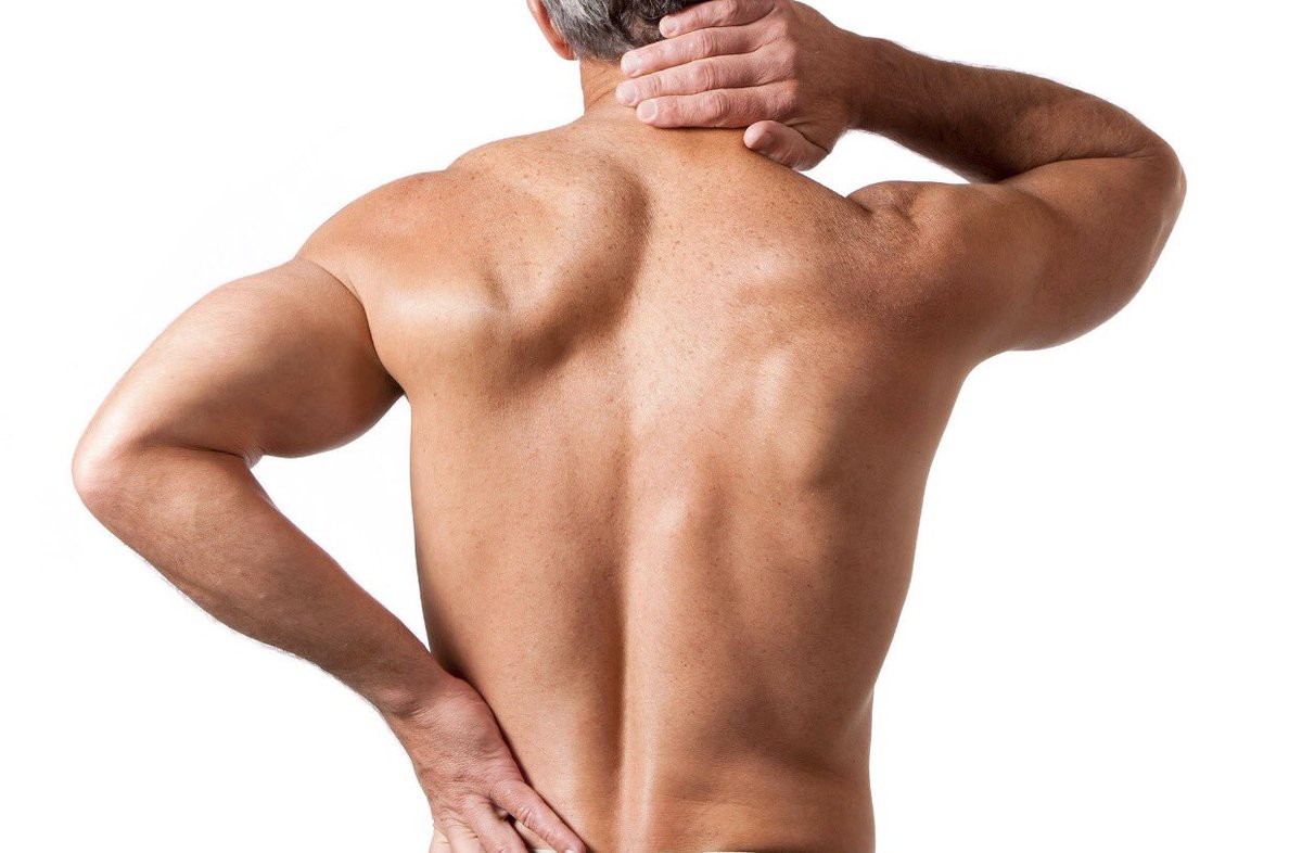CellBionics's tweet photo. What are some of the common causes of back pain and neck pain? Find out here: https://t.co/bEJ4K21D5u https://t.co/nHZqGJQwGk