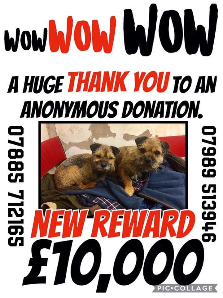 ❤ WOW ! Reward for #RubyandBeetle now £10,000