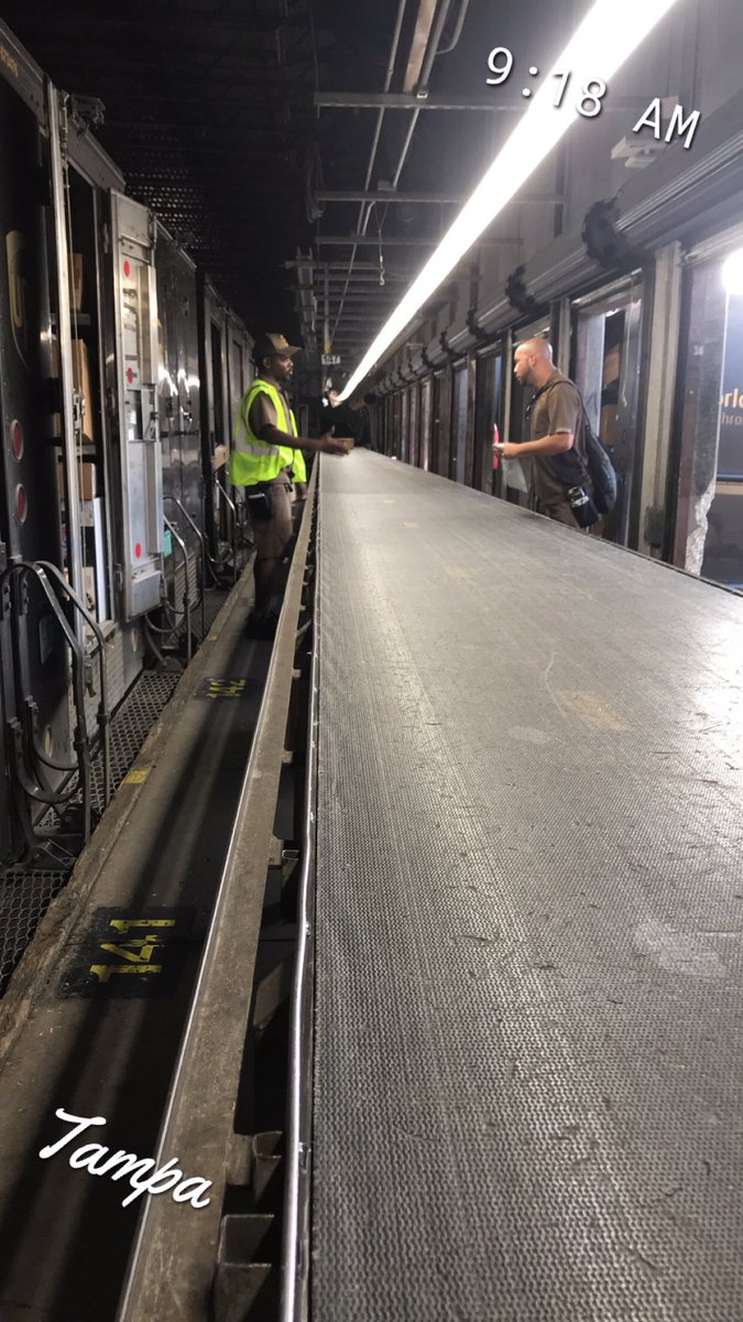 ashleyazgreene's tweet photo. What did the driver ask the other driver?.... “how’d they do it again?” #tampapreload #tampapride #morningroutine #settingthestandard #howaboutthatnortheastpreload https://t.co/2I8QCe6Ek8